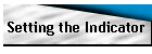 Setting the Indicator